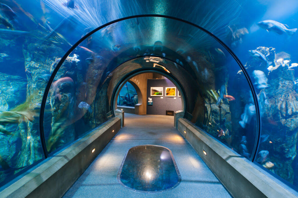 2026 NWNBIO aquarium image